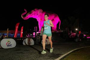 BIB: 
                            <button type="button" onclick="openModal(26534601)" class="btn btn-primary btn-sm float-right btn-popup" data-toggle="modal" data-target=".modal-high-quality">
                        <i class="fas fa-shopping-cart"></i> Add to Cart
                    </button>
                                            <button type="button" onclick="isThisMe(26534601, true)" class="btn btn-success btn-sm float-right btn-popup btn-isme hidden" data-toggle="tooltip" data-placement="bottom" title="นี่คือรูปของคุณใช่ไหม คลิกที่นี่เพื่อเอาเข้าอัลบั้ม">
                        <i class="fas fa-plus"></i> Add to album
                    </button>
                    <button type="button" onclick="isThisMe(26534601, false)" class="btn btn-warning btn-sm float-right btn-popup btn-isnotme hidden">
                        <i class="fas fa-ban"></i> Remove from album
                    </button>